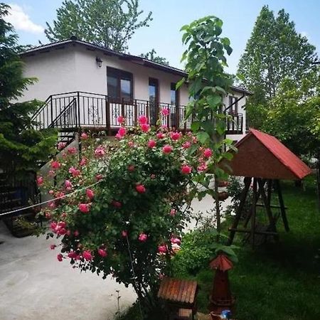 Casa Tibi Si Nico Hotel Eforie Nord Buitenkant foto