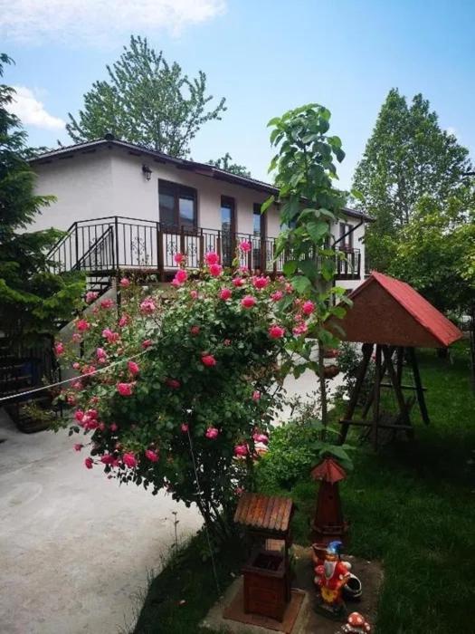 Casa Tibi Si Nico Hotel Eforie Nord Buitenkant foto